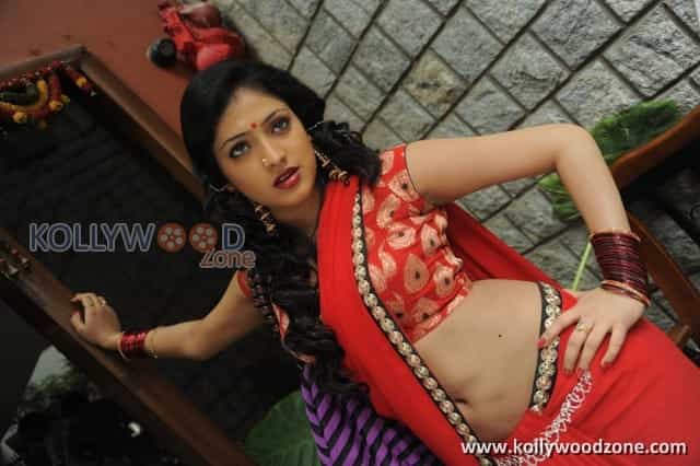 Hari Priya Hot Saree Pictures 27