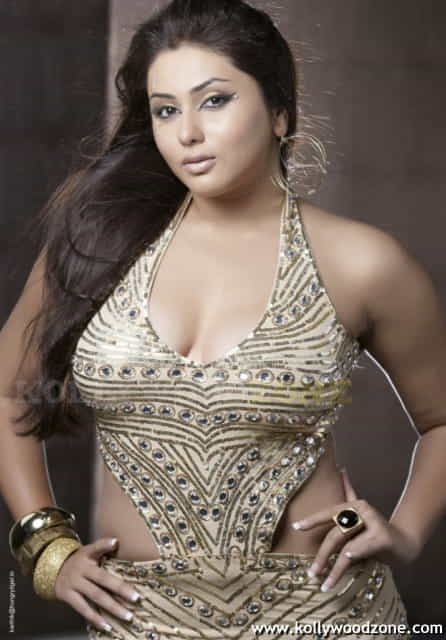 Hot New Sexy Namitha Stills 13