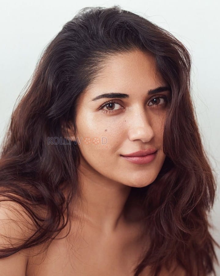 Natural Beauty Ruhani Sharma Adorable Photos 02