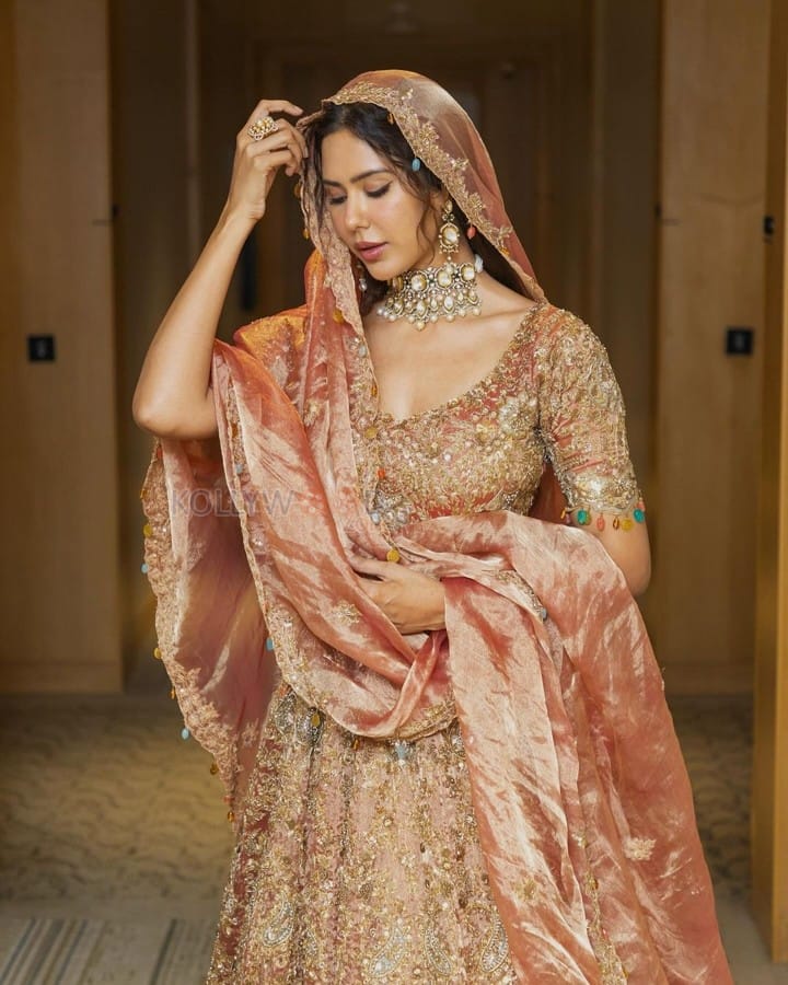 Punjabi Beauty Sonam Bajwa In a Golden Bridal Gown at Bombay Times Fashion Week Photos 02