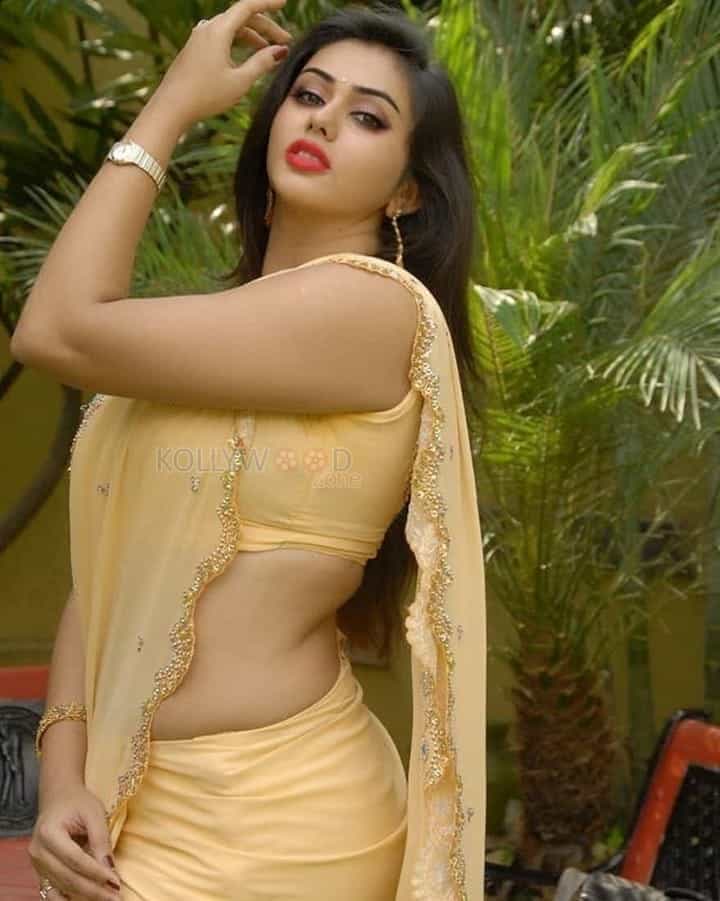 South Siren Namitha Saree Pictures 05