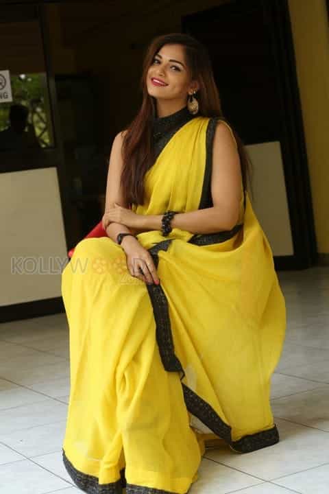 Actress Aswini Beautiful Yellow Saree Photos 34