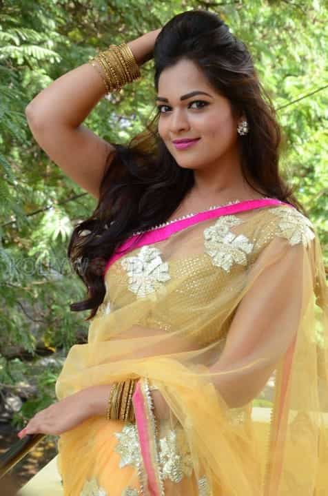 Actress Aswini Hot Saree Cleavage Pictures 19