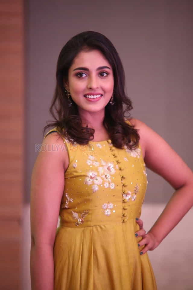 Actress Madhu Shalini At Goodachari Pre release Event Photos 15