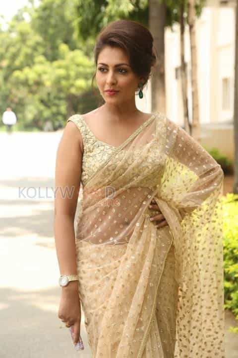 Actress Madhu Shalini Sexy Saree Pictures 03