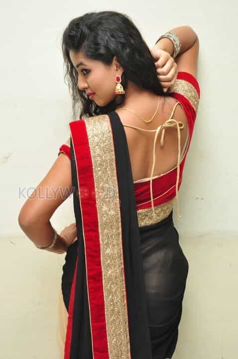 Actress Pavani Saree Pictures 04 (150119) | Kollywood Zone