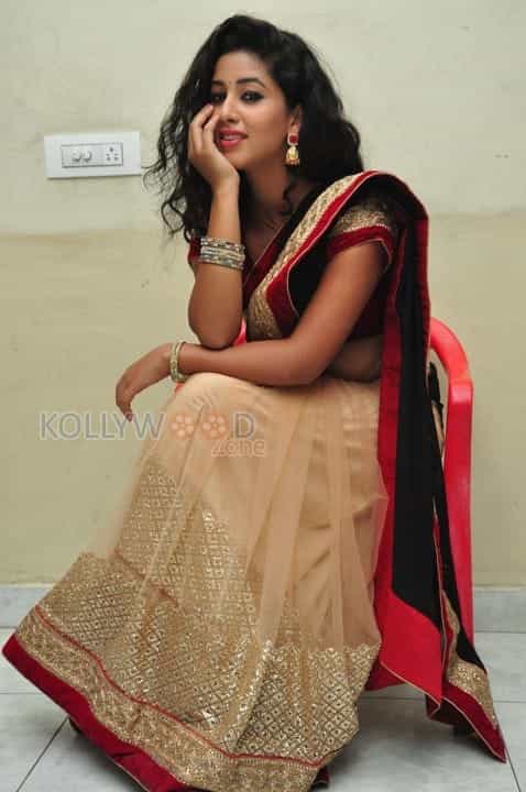 Actress Pavani Saree Pictures 11