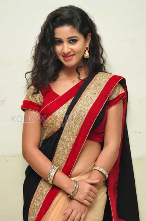 Actress Pavani Saree Pictures 31