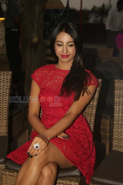 Beautiful Actress Sanjjanaa Photos 02