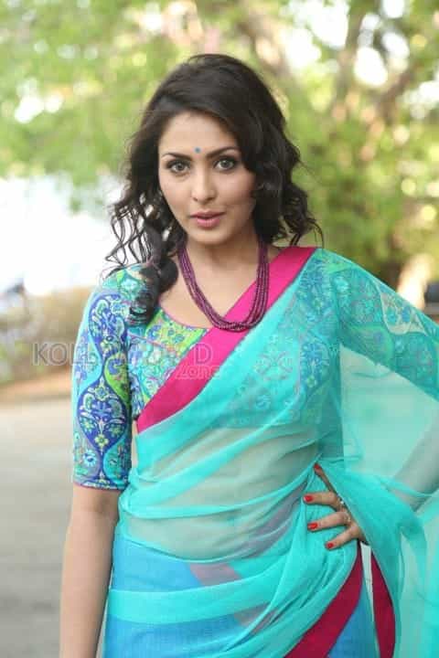 Beautiful Madhu Shalini In Saree Photos 19