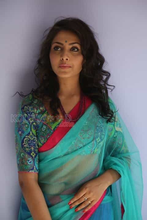 Beautiful Madhu Shalini In Saree Photos 24