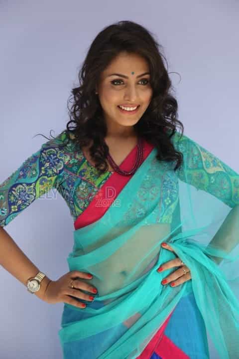 Beautiful Madhu Shalini In Saree Photos 27