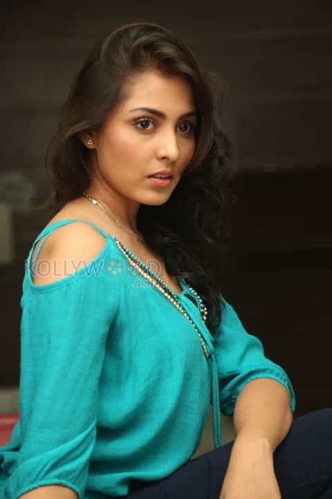 Beautiful Sexy Actress Madhu Shalini Photos 29