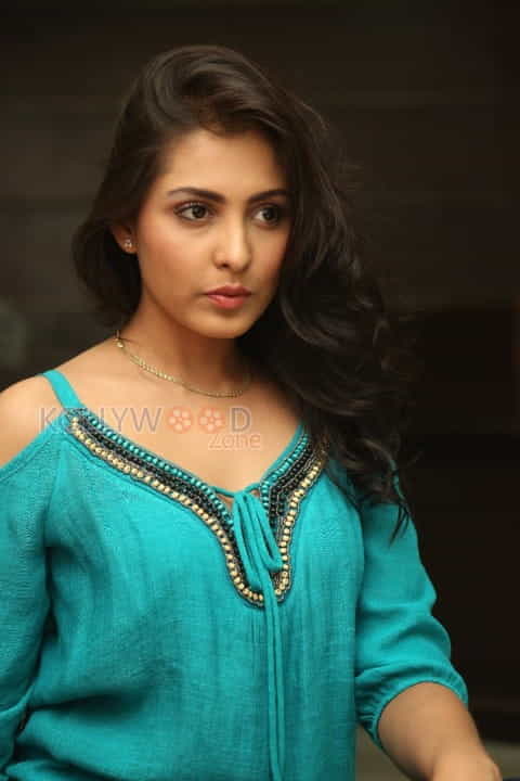 Beautiful Sexy Actress Madhu Shalini Photos 35