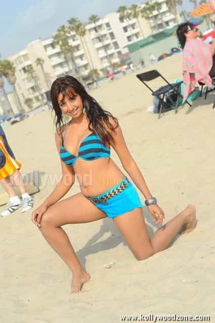 Sexy Kannada Actress Sanjana Hot Pictures 11