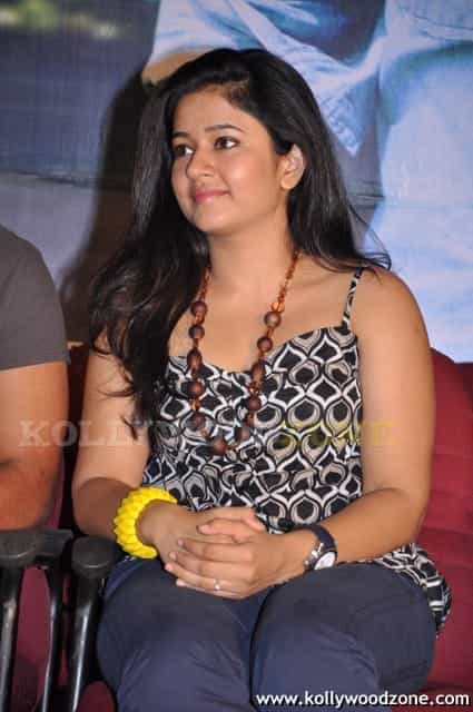 Actress Poonam Bajwa In Drohi Audio Launch Photos 06