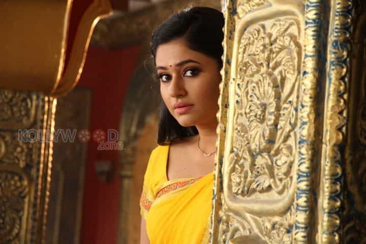 Aranmanai 2 Heroine Poonam Bajwa Photos 105