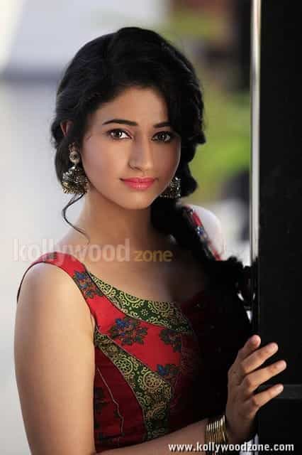 Poonam Bajwa Sexy New Pictures 15