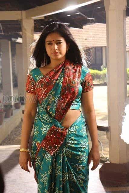 South Actress Poonam Bajwa Sexy Photos 13