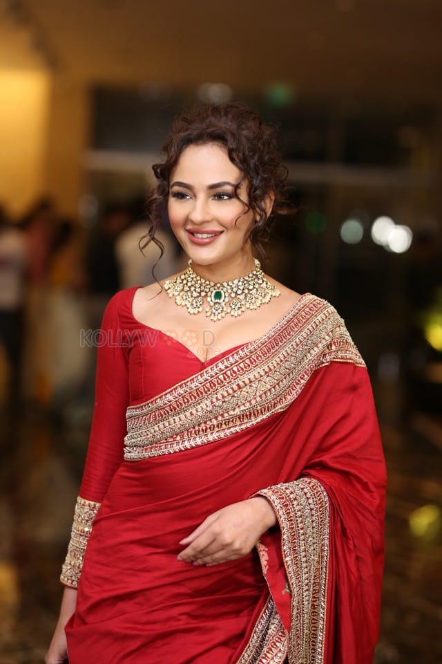 Actress Seerat Kapoor at Manamey Movie Pre Release Event Photos 34