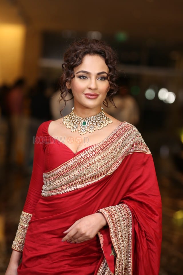 Actress Seerat Kapoor at Manamey Movie Pre Release Event Photos 35