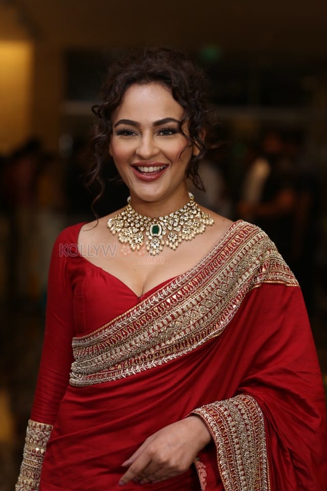 Actress Seerat Kapoor at Manamey Movie Pre Release Event Photos 37