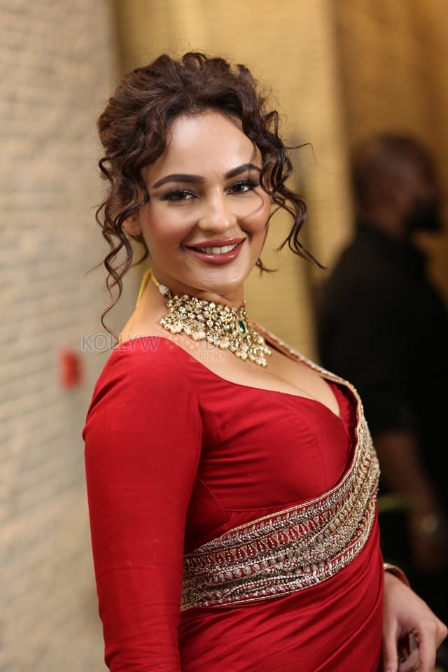 Actress Seerat Kapoor at Manamey Movie Pre Release Event Photos 45