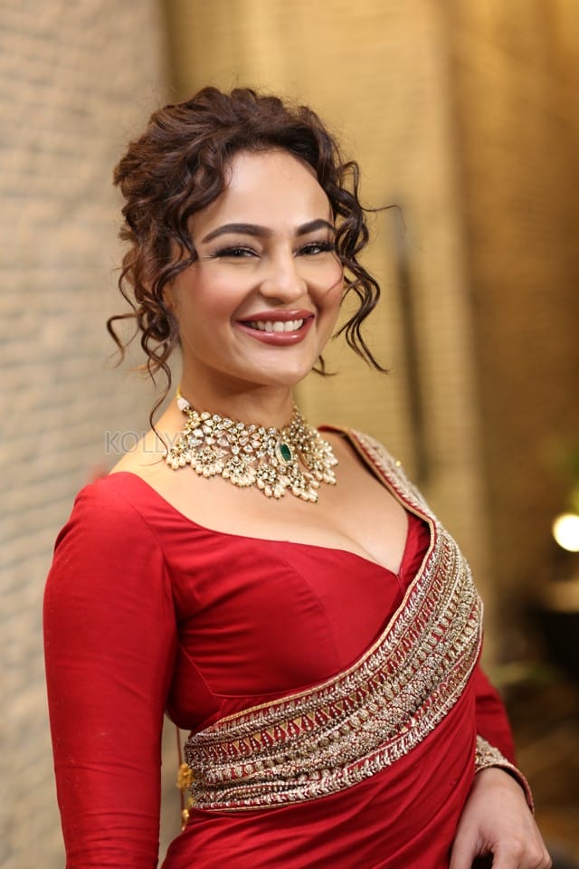 Actress Seerat Kapoor at Manamey Movie Pre Release Event Photos 47