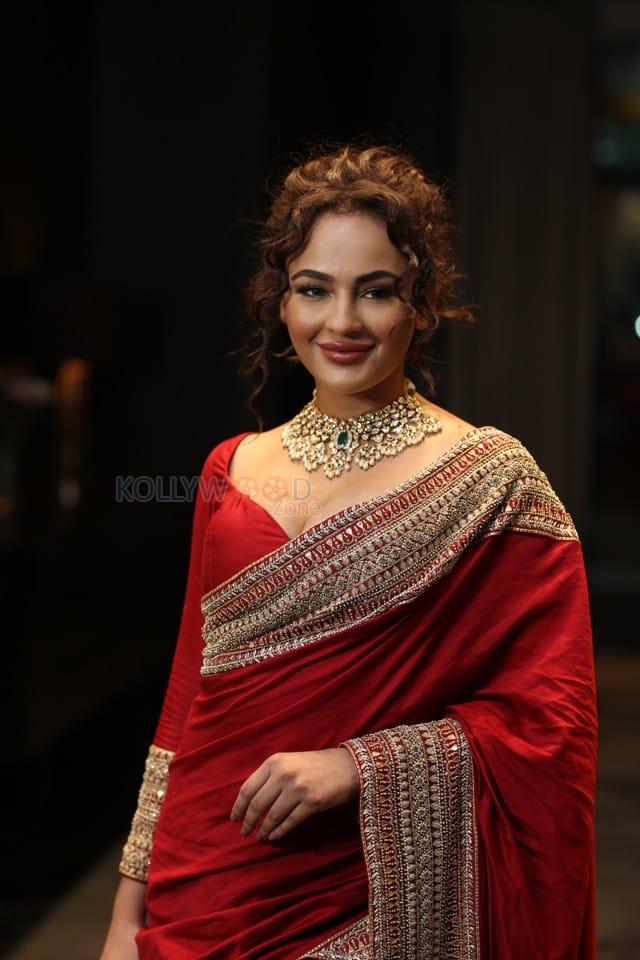 Actress Seerat Kapoor at Manamey Movie Pre Release Event Photos 54