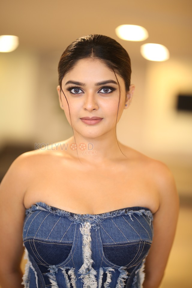 Actress Vaibhavi Shandilya at Martin Movie Pre Release Event Pictures 03