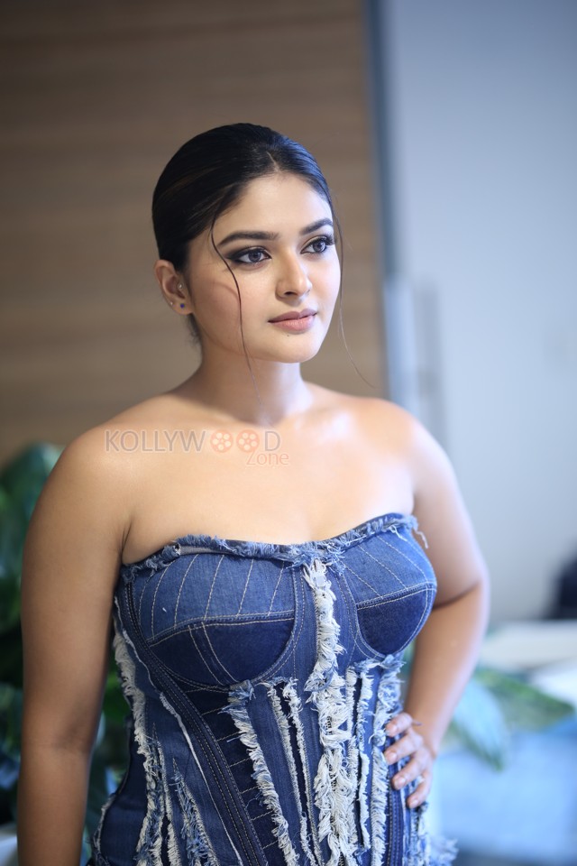 Actress Vaibhavi Shandilya at Martin Movie Pre Release Event Pictures 04