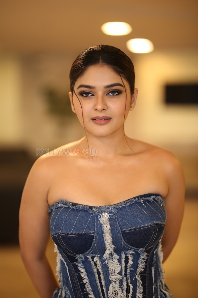 Actress Vaibhavi Shandilya at Martin Movie Pre Release Event Pictures 21