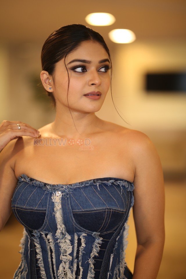 Actress Vaibhavi Shandilya at Martin Movie Pre Release Event Pictures 24