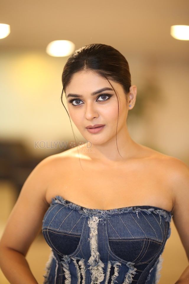 Actress Vaibhavi Shandilya at Martin Movie Pre Release Event Pictures 26