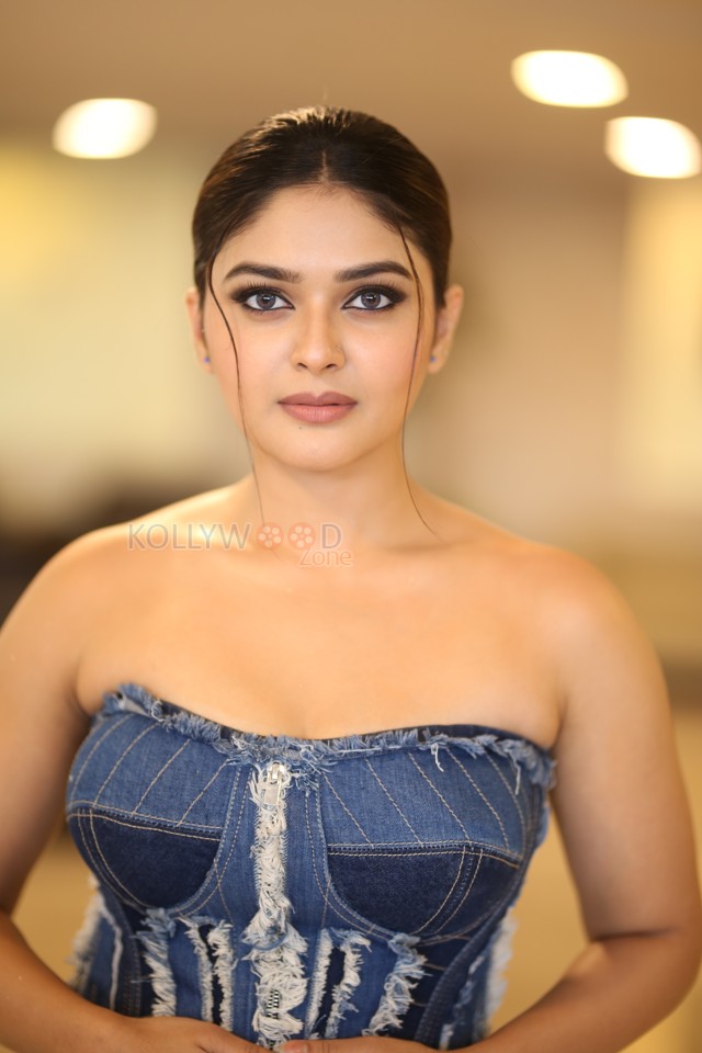 Actress Vaibhavi Shandilya at Martin Movie Pre Release Event Pictures 27