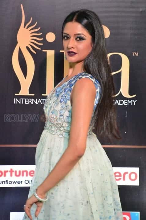 Actress Vimala Raman At Iifa Utsavam 2017 Pictures 04