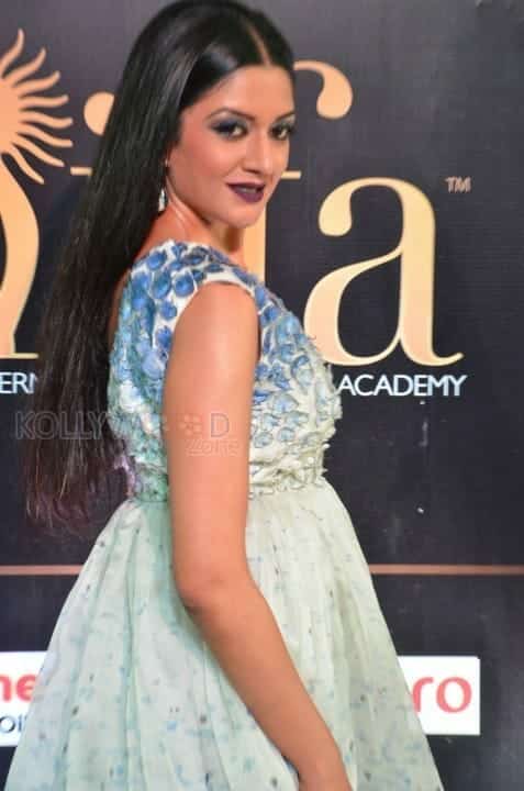 Actress Vimala Raman At Iifa Utsavam 2017 Pictures 05