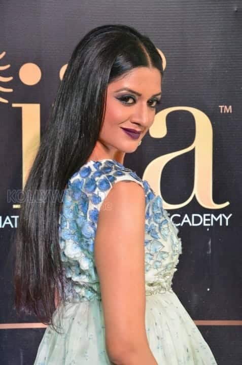 Actress Vimala Raman At Iifa Utsavam 2017 Pictures 06