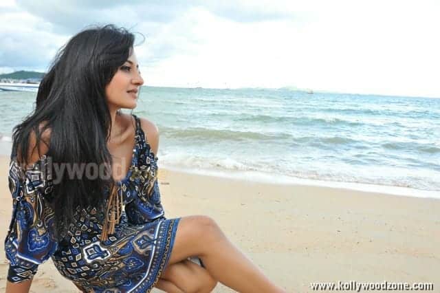 Actress Vimala Raman Sexy Pics 12