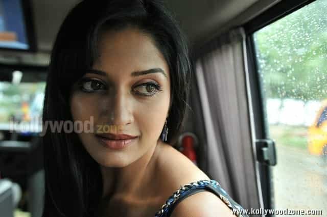 Actress Vimala Raman Sexy Pics 17