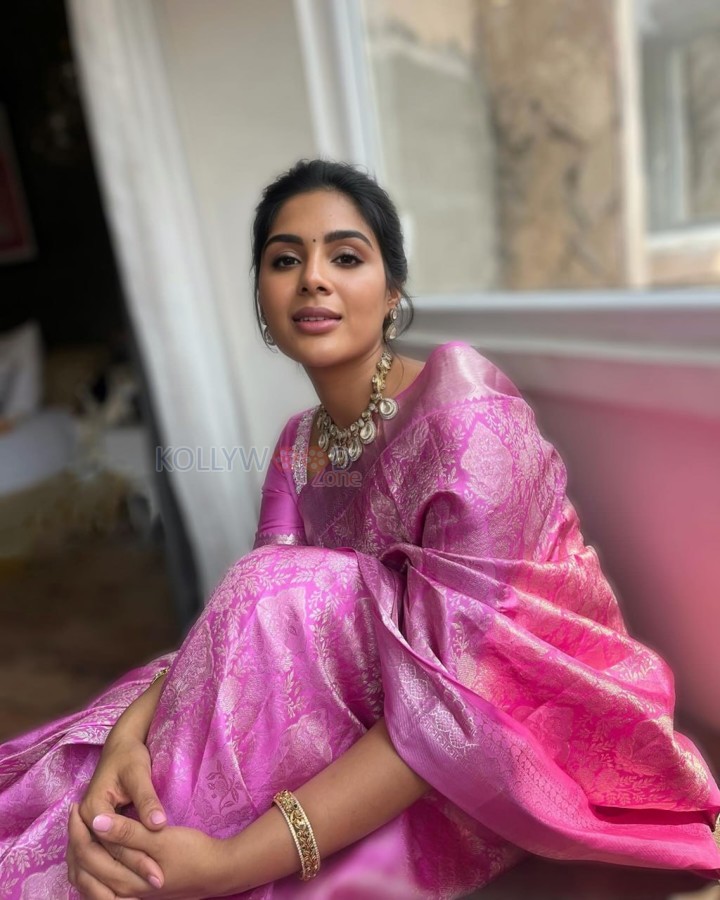 Beautiful Samyuktha Menon in a Pink Silk Saree Photos 03