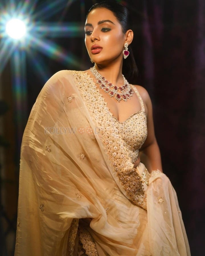 Malayalam Actress Samyuktha Menon in a Golden Lehenga Stills 01