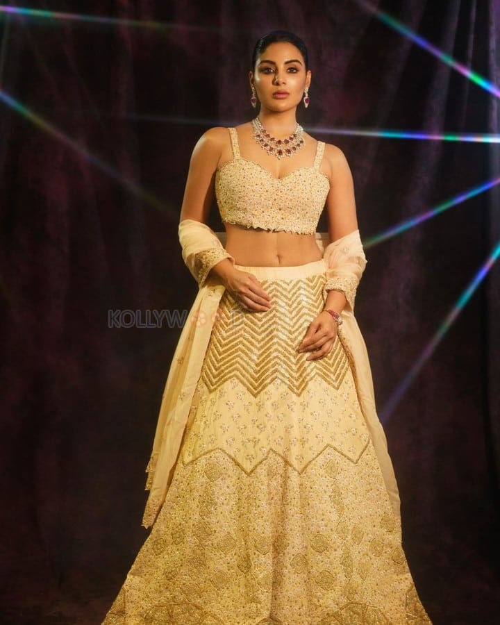 Malayalam Actress Samyuktha Menon in a Golden Lehenga Stills 07