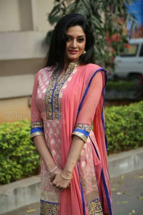 Mallu Actress Vimala Raman New Photos 05