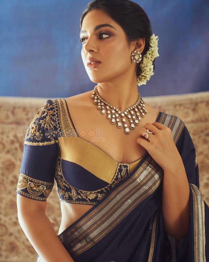 Swayambhu Actress Samyuktha Menon in a Traditional Silk Saree Photos 05