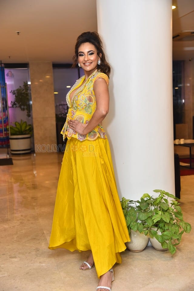 Telugu Actress Seerat Kapoor At Usha Parinayam Pre Release Event Pictures 55