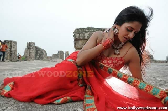 Vimala Raman Hot Stills 11