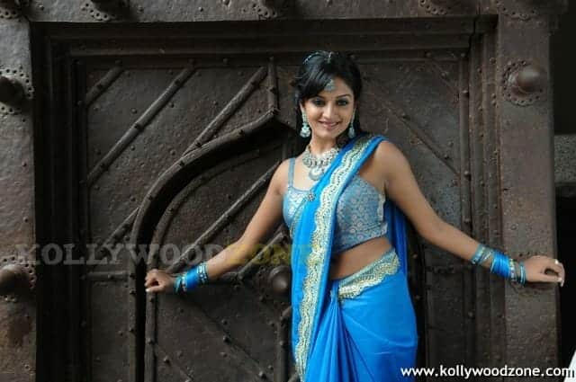 Vimala Raman Hot Stills 34