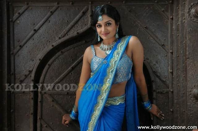 Vimala Raman Hot Stills 36