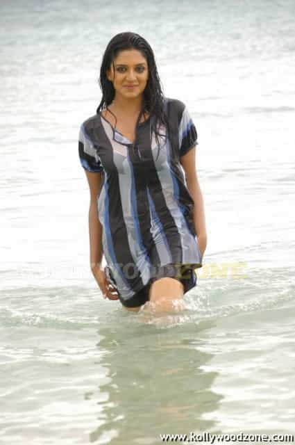 Vimala Raman Sexy Swimsuit Pictures 21